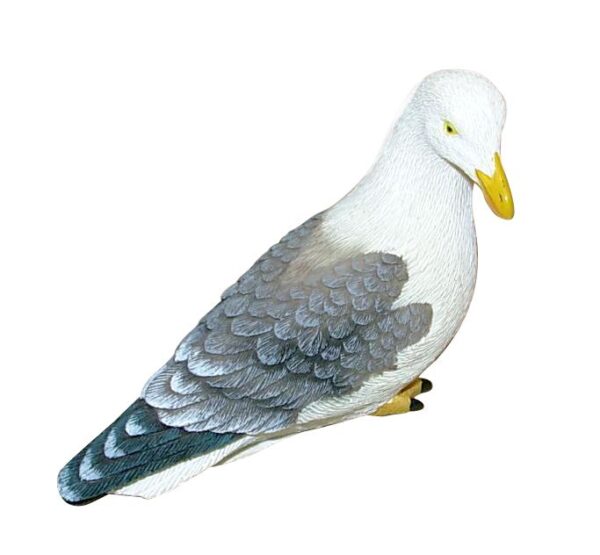 Mouette BR08068