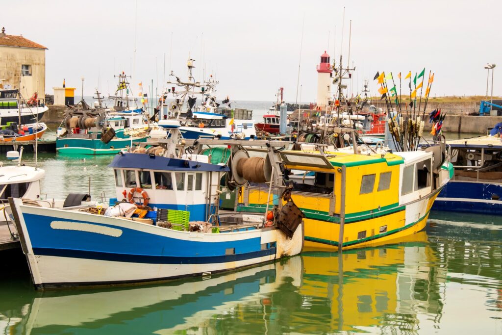 Port de la Cotinière