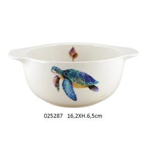 Bol Tortue R-025287